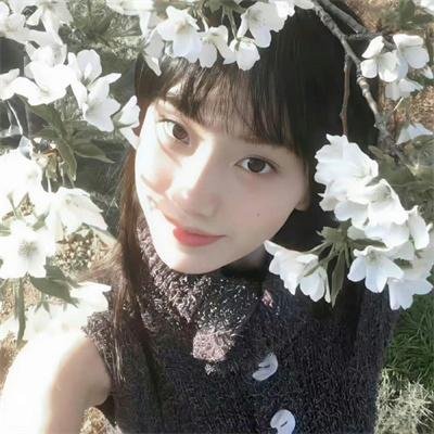 恨锁琼楼